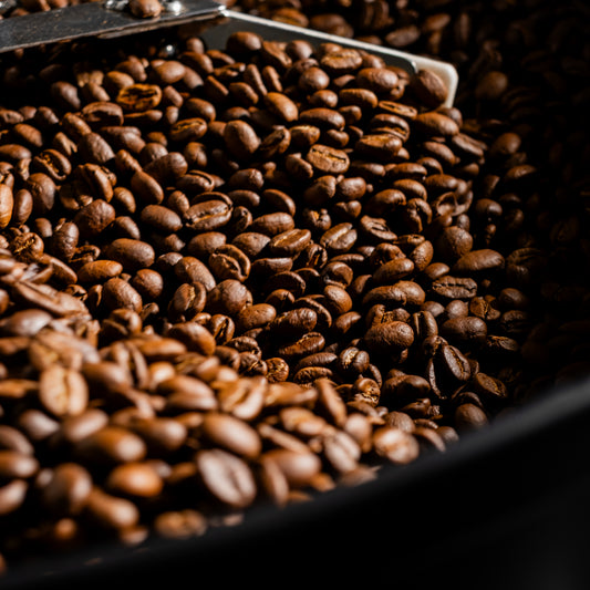 what is speciality coffee?